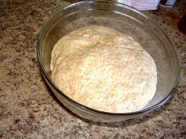 STEP 6: PUNCH DOUGH AND SHAPE IT